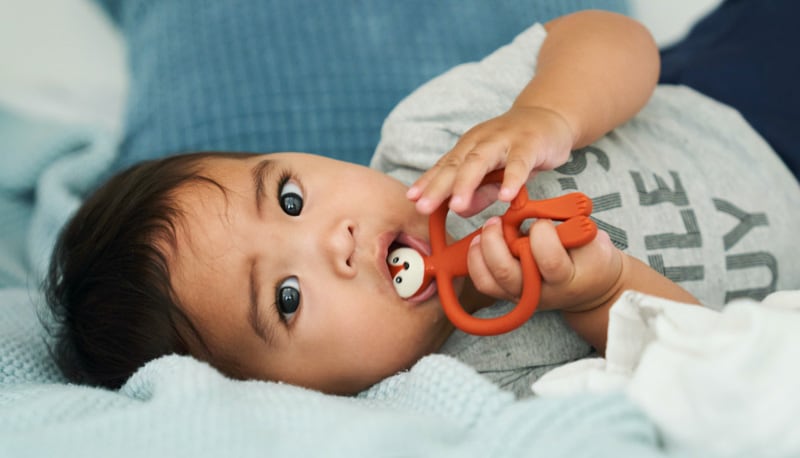 Baby teething with a Matchstick Monkey Animal Teether